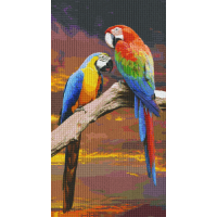 Papagáje 824018